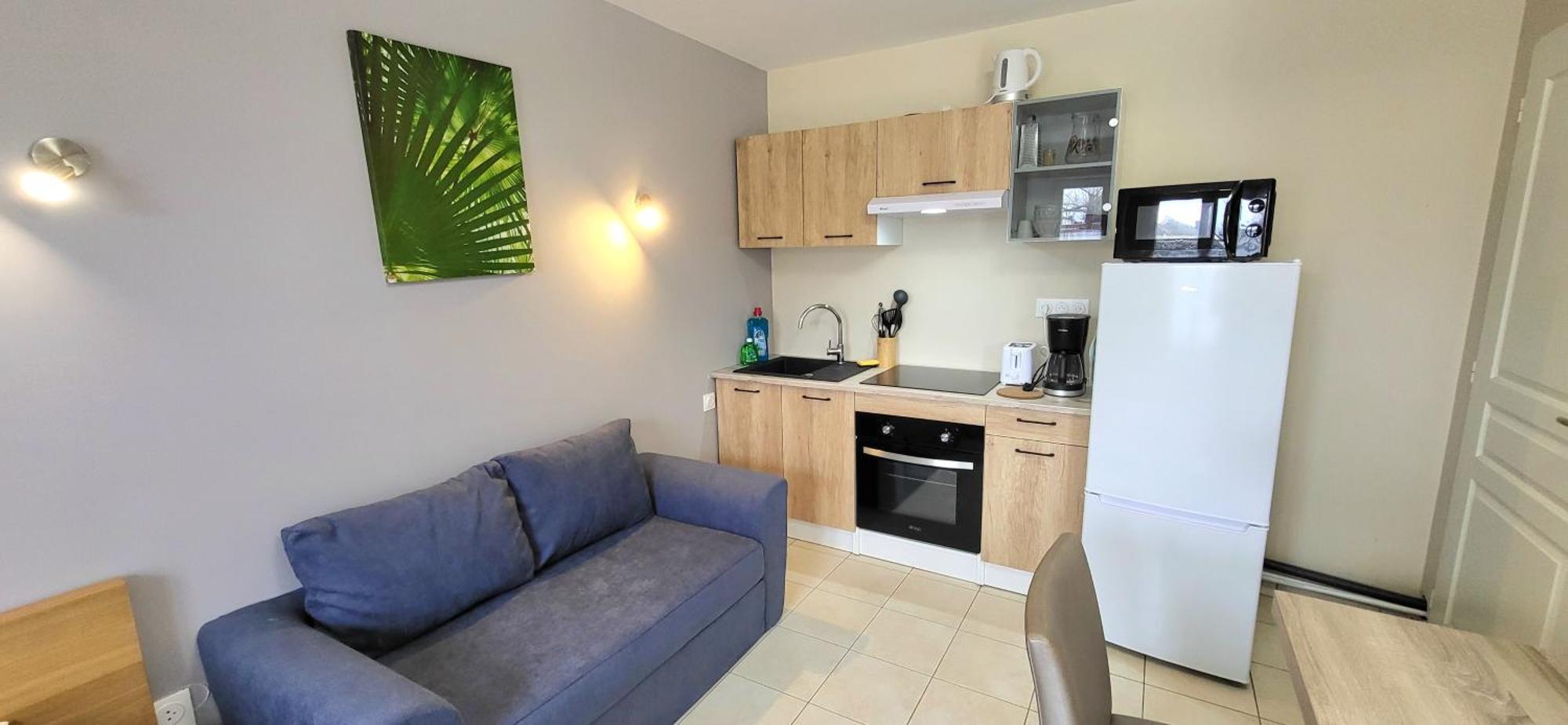 Residences Les Sansonnets "Appartements & Studios" جونزاك المظهر الخارجي الصورة